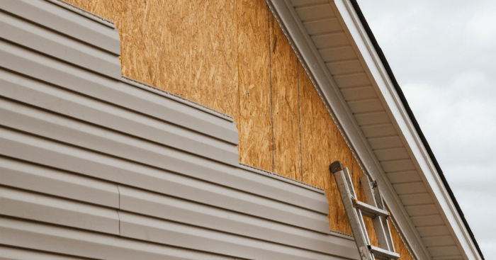 5 Best Siding Materials for Homes in Cold Climates